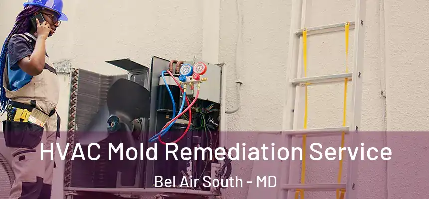 HVAC Mold Remediation Service Bel Air South - MD