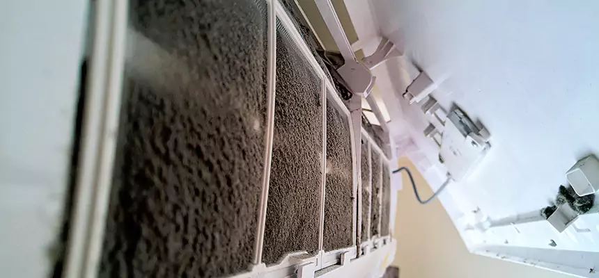 Preventive Air Duct Bacteria Removal in Bel Air South