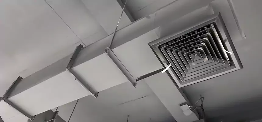 Our Pest Removal From Ducts Services in Bel Air South, MD