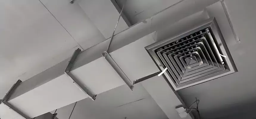 Our Rodent Droppings In Vents Services in Bel Air South, MD