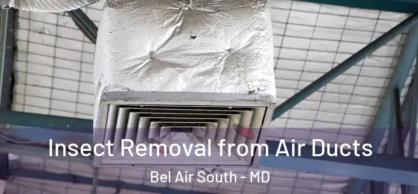 Insect Removal from Air Ducts Bel Air South - MD