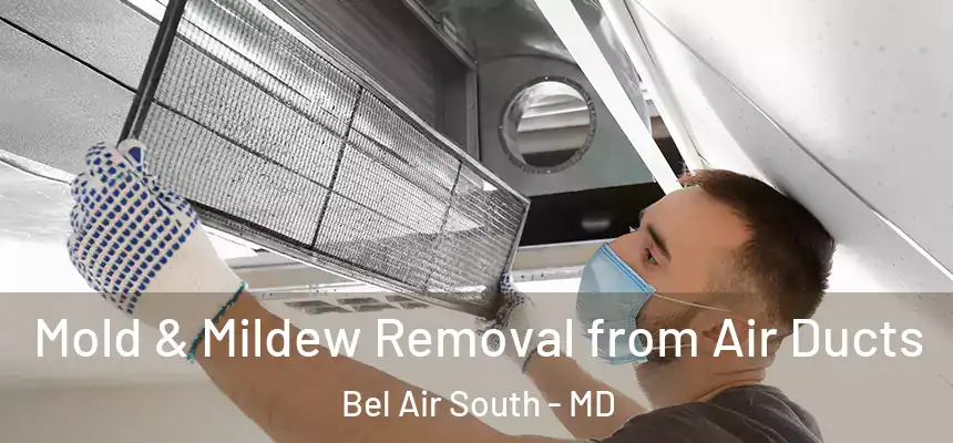 Mold & Mildew Removal from Air Ducts Bel Air South - MD