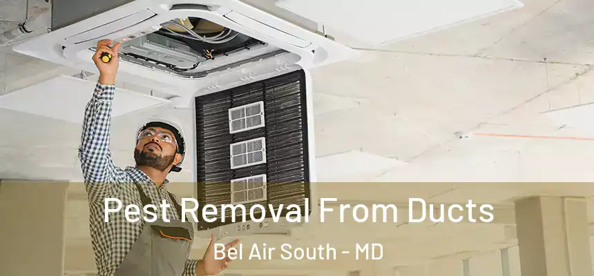 Pest Removal From Ducts Bel Air South - MD