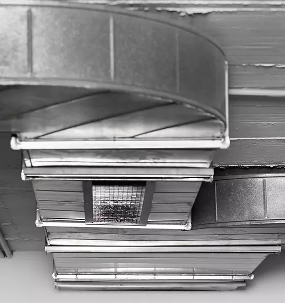 Professional Air Duct Pest Removal in Bel Air South, MD