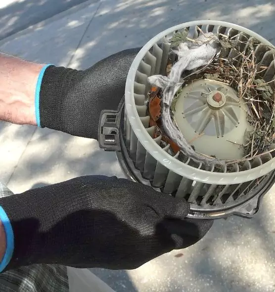 About Air Duct Rat Removal in Bel Air South, MD