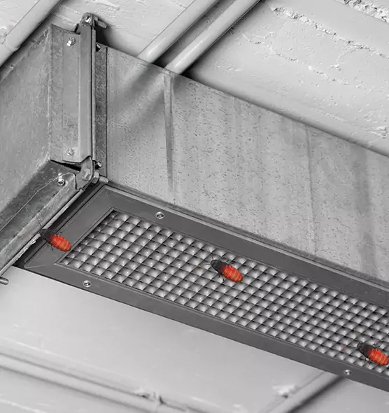 Affordable Insect Removal from Air Ducts in Bel Air South, MD