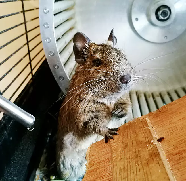 Why Homeowners & Businesses Trust Us Bel Air South, MD?